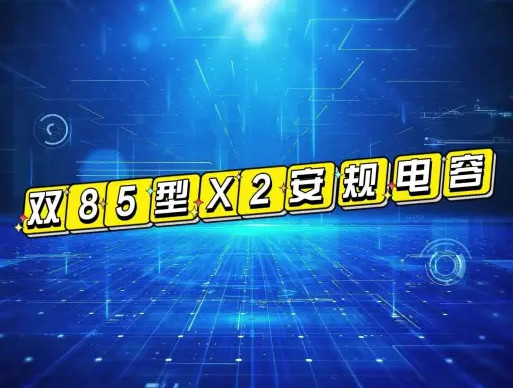 X2安规拼搏在线官网_拼搏（中国）
双85型是什么拼搏在线官网_拼搏（中国）
？